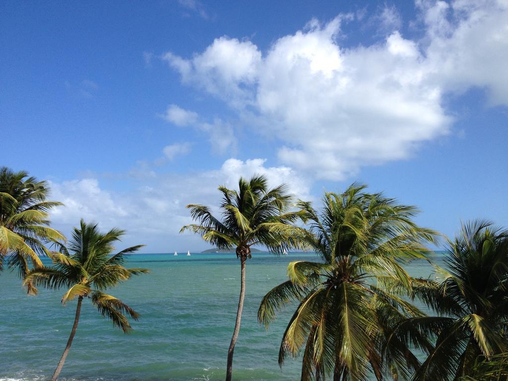 Ocean View Studio Marina Lanais Fajardo Room photo